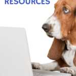 blogging resources