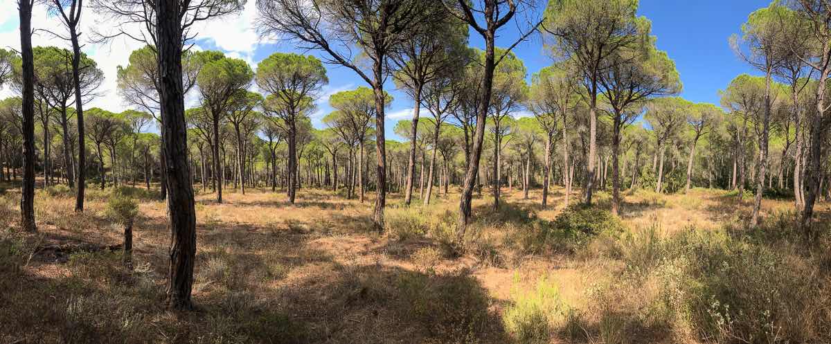 Hiking Catalonia coast and castles