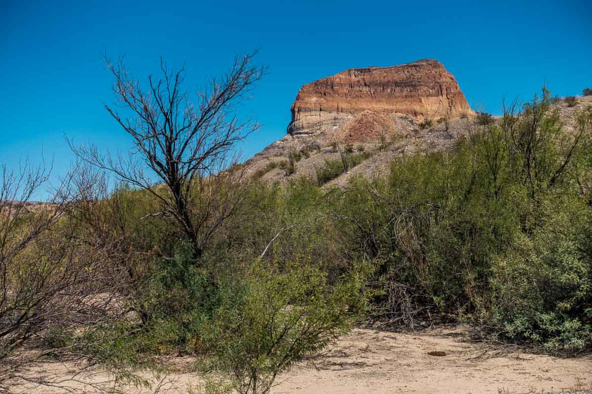 cerro castellan big bend