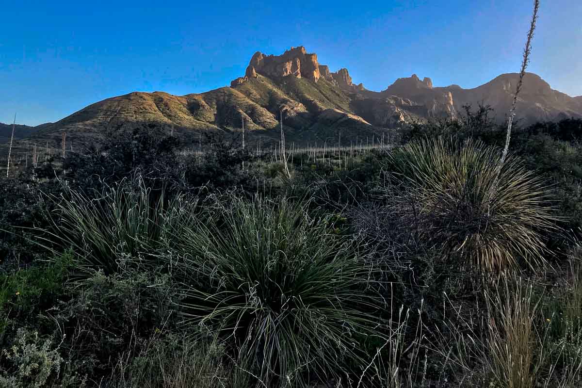 big bend national park