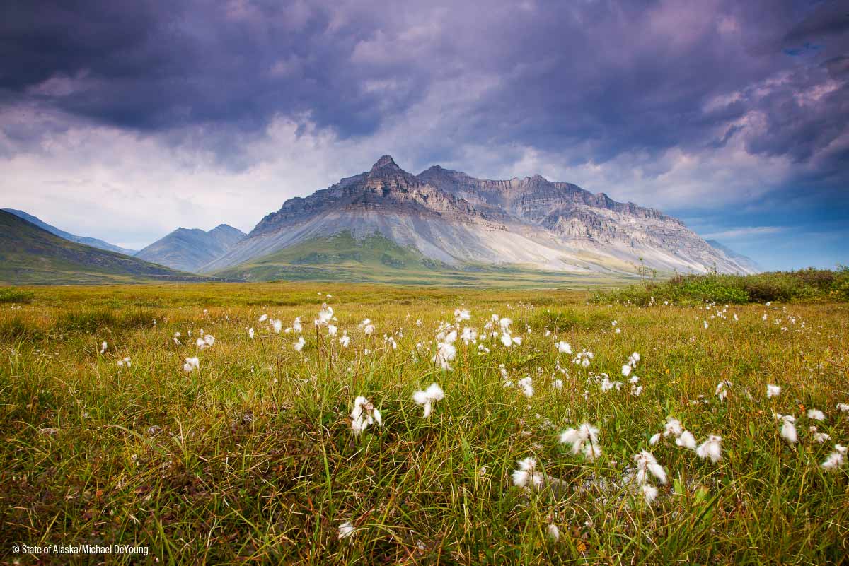 Trip Planning Alaska: Nature