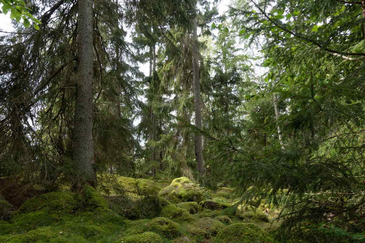 Sweden sustainable nature tourism