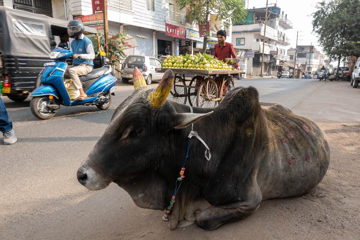 Bhopal India walking tour