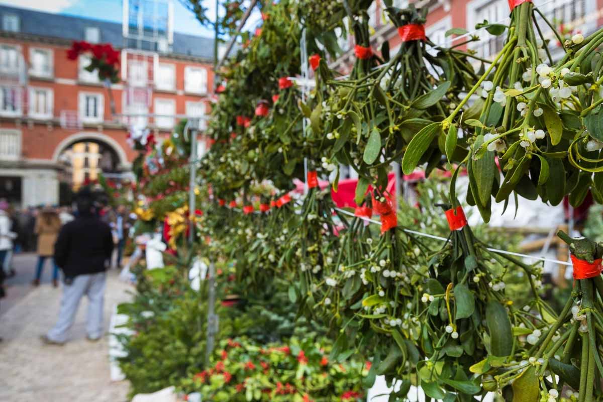 Spain Christmas Markets Madrid