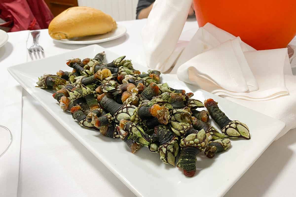 cantabria percebes barnacles