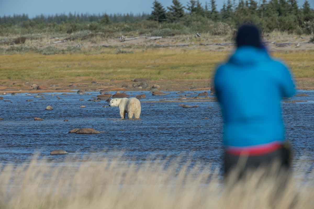 Travel arctic tours