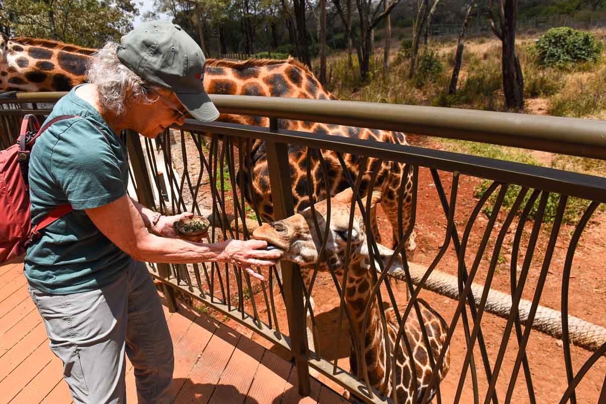 Giraffe Center Nairobi