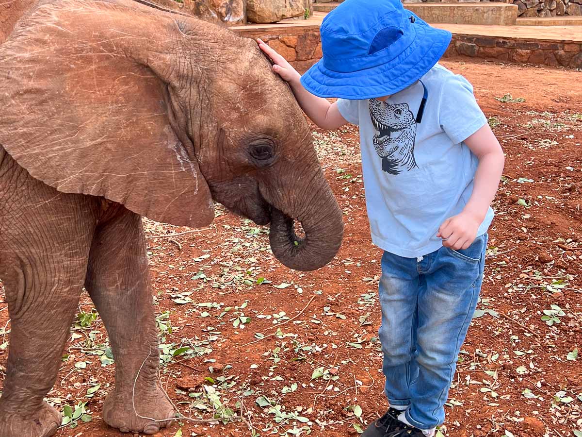 David Sheldrick Elephant Orphanage