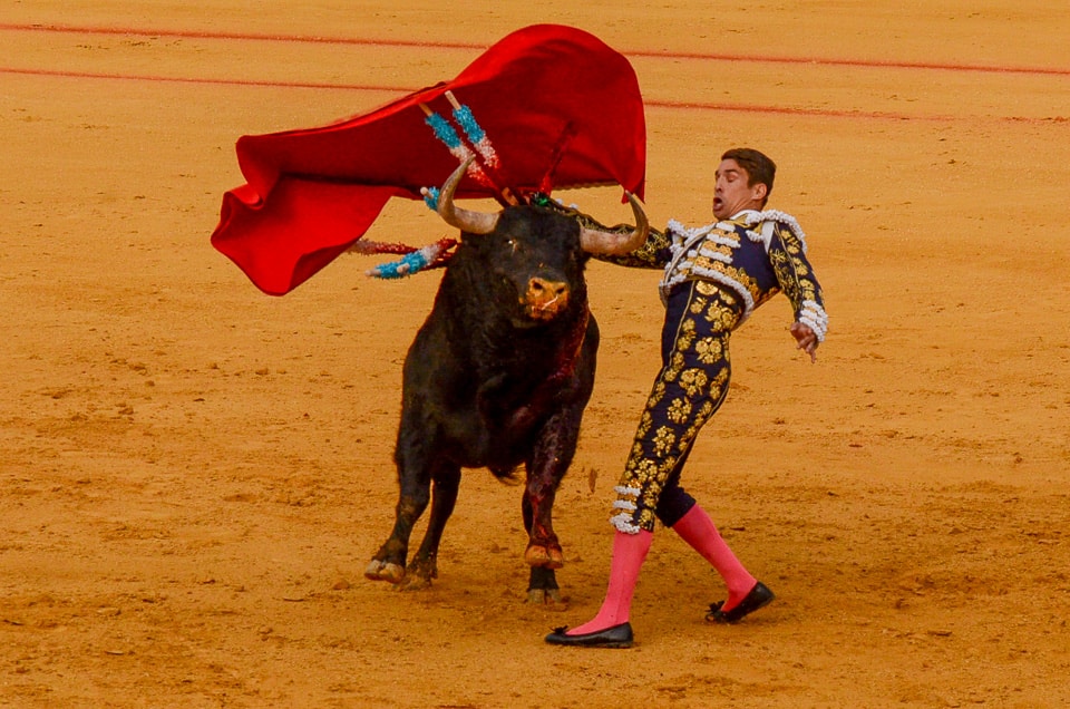 spain seville bullfight 2