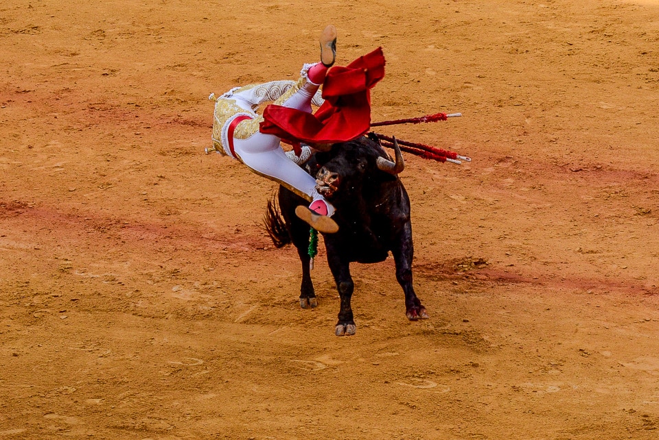spain seville bullfight 7