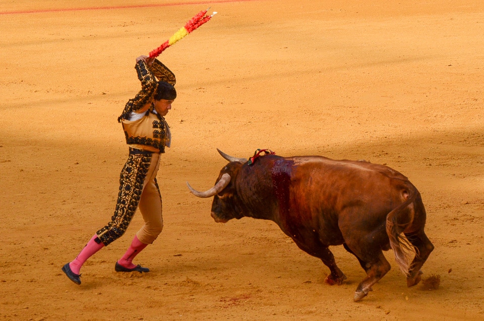 spain seville bullfight 8