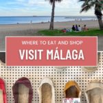 Visit malaga guide