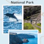 Channel Islands Natl Park
