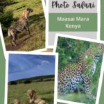 Safari Photo Tips