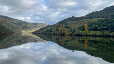 Relax on a Douro River Cruise: Visiting Portugal
