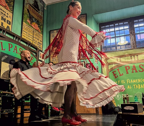 Flamenco Jerez Andalucia