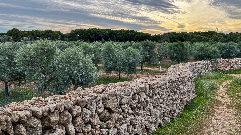 Agritourism Hotel Sant Joan Binissaida