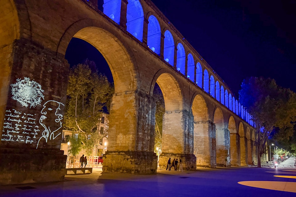 Elective study abroad Montpellier France