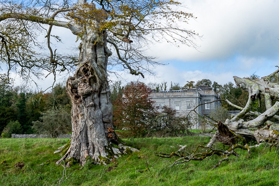 Temple House Sligo Ireland