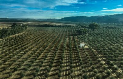 Road Trips in Spain: Best Regional Routes