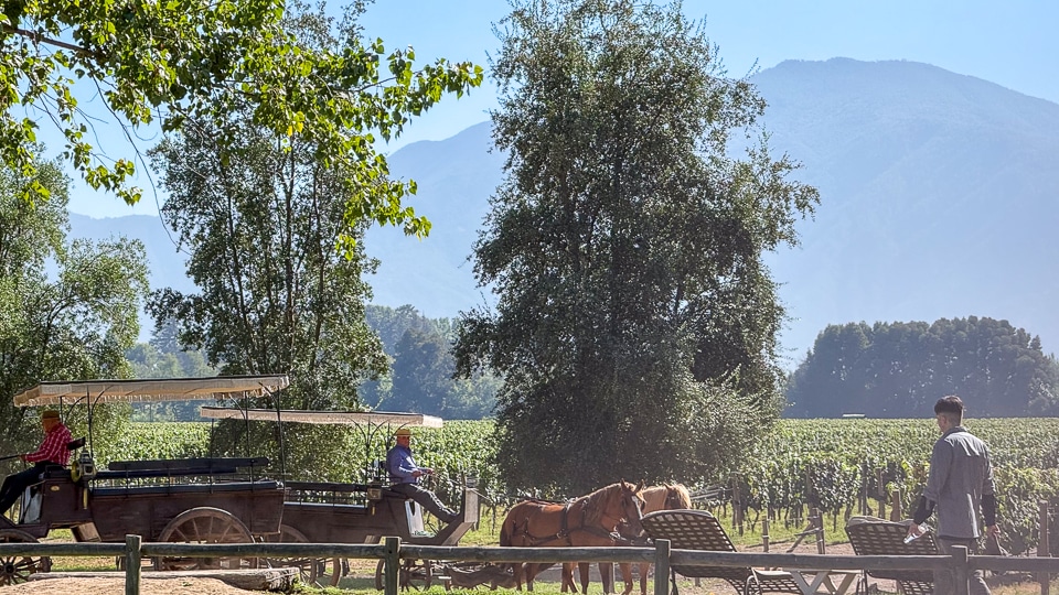 Viu Manent winery Colchagua Valley Chile