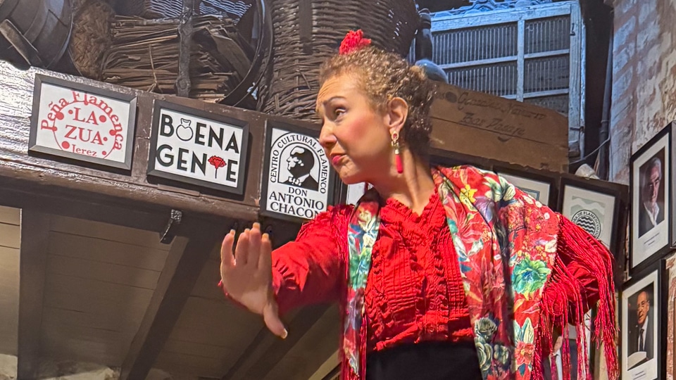 Flamenco dancer and musicians performing on stage at Tabanco El Pasaje in central Jerez de la Frontera Andalucía