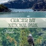 Glacier Bay National Park highlights like the Margerie Glacier and eagle pictured here.